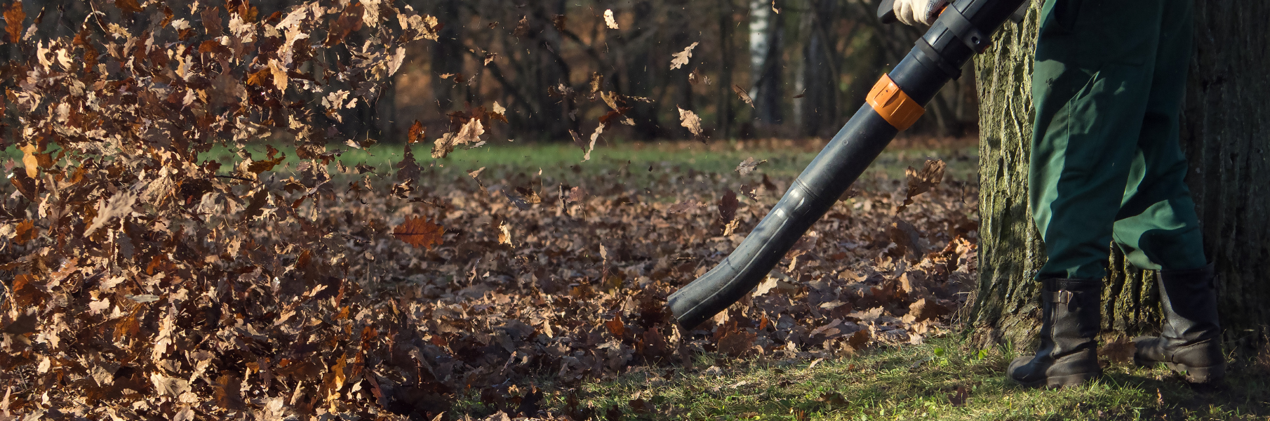 Person using a leaf blower to clear brown leaves in a yard
