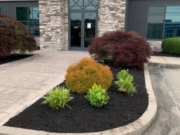 Landscaped front entrance with colorful shrubs, mulch, stone walkway, and glass doors