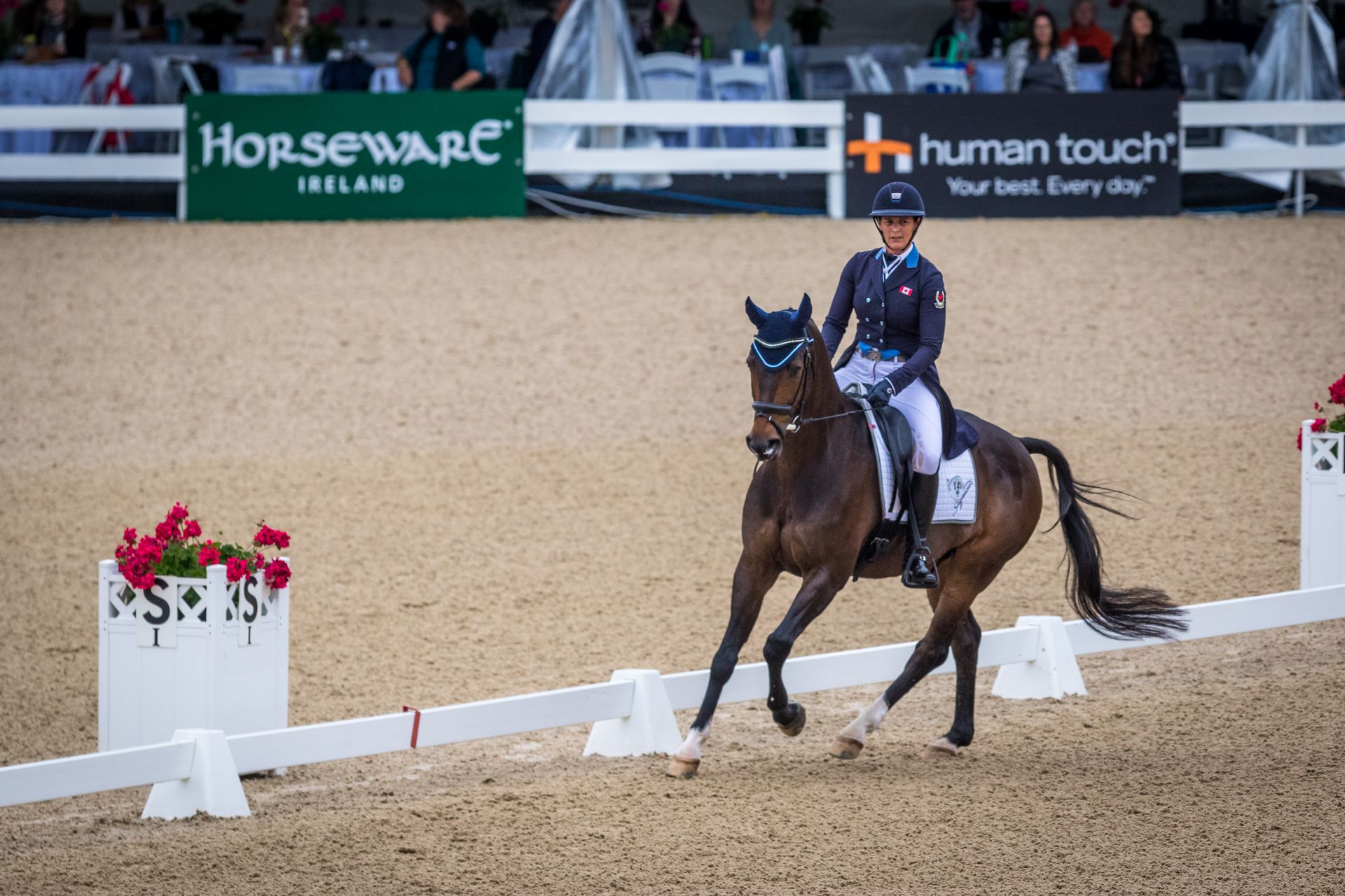 A woman is riding a horse in a dressage arena.