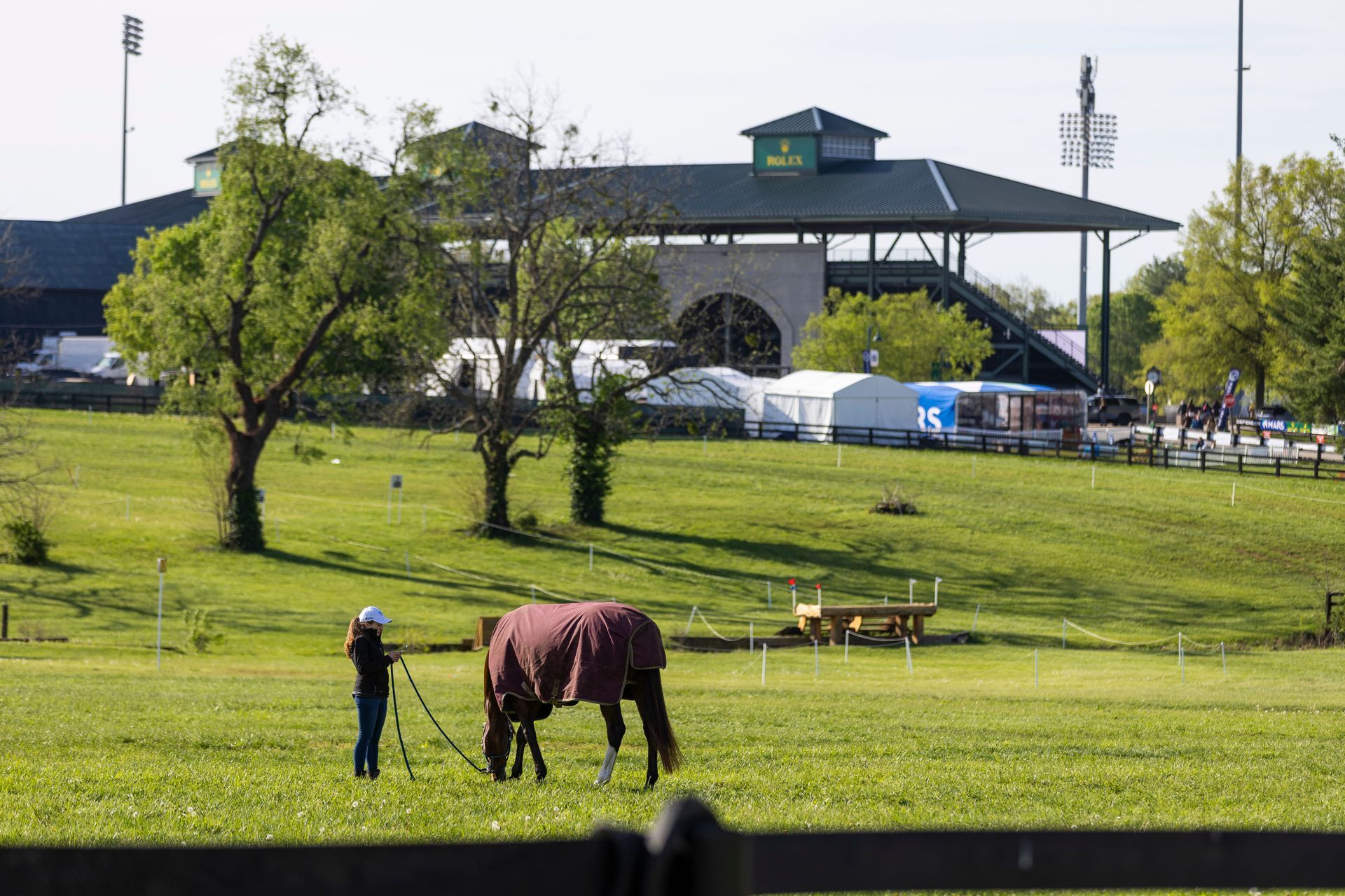A horse is standing on grass in front of a stadium.