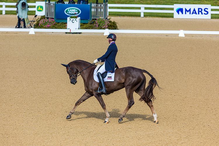 A man is riding a brown horse on a dirt field.