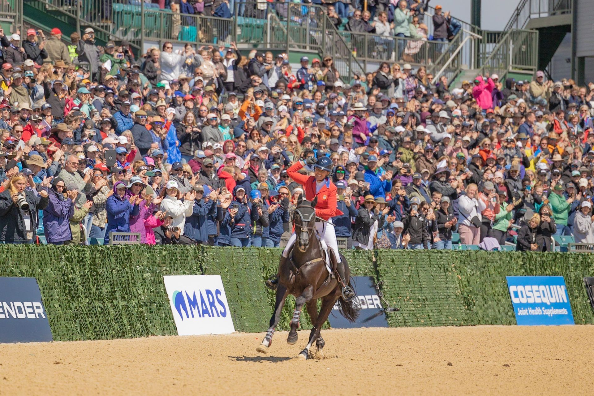 A person is riding a horse in front of a crowd.