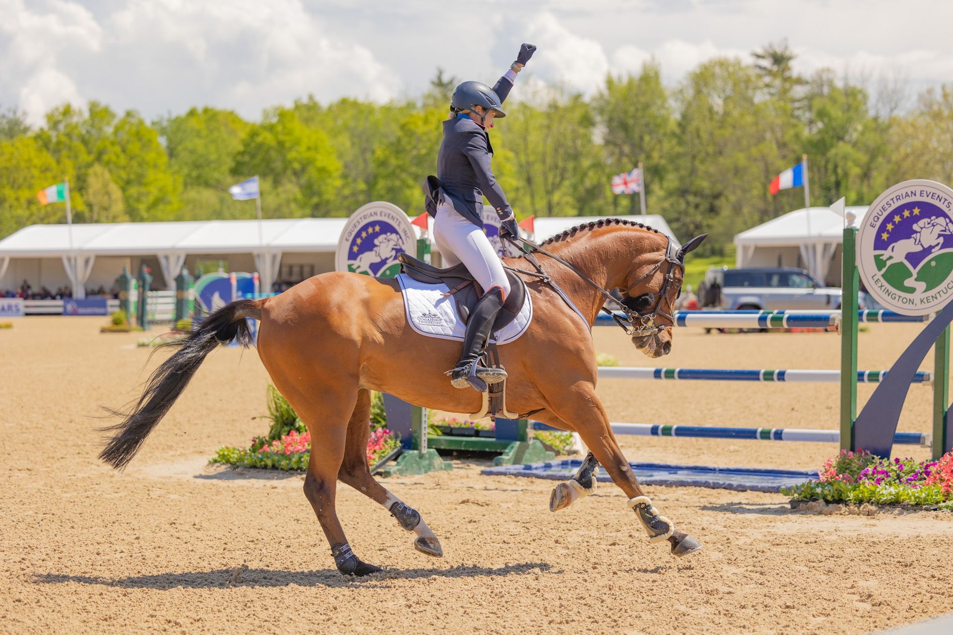 A person is riding a brown horse in a ring.