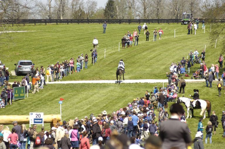 A crowd of people are watching a horse race in a field.