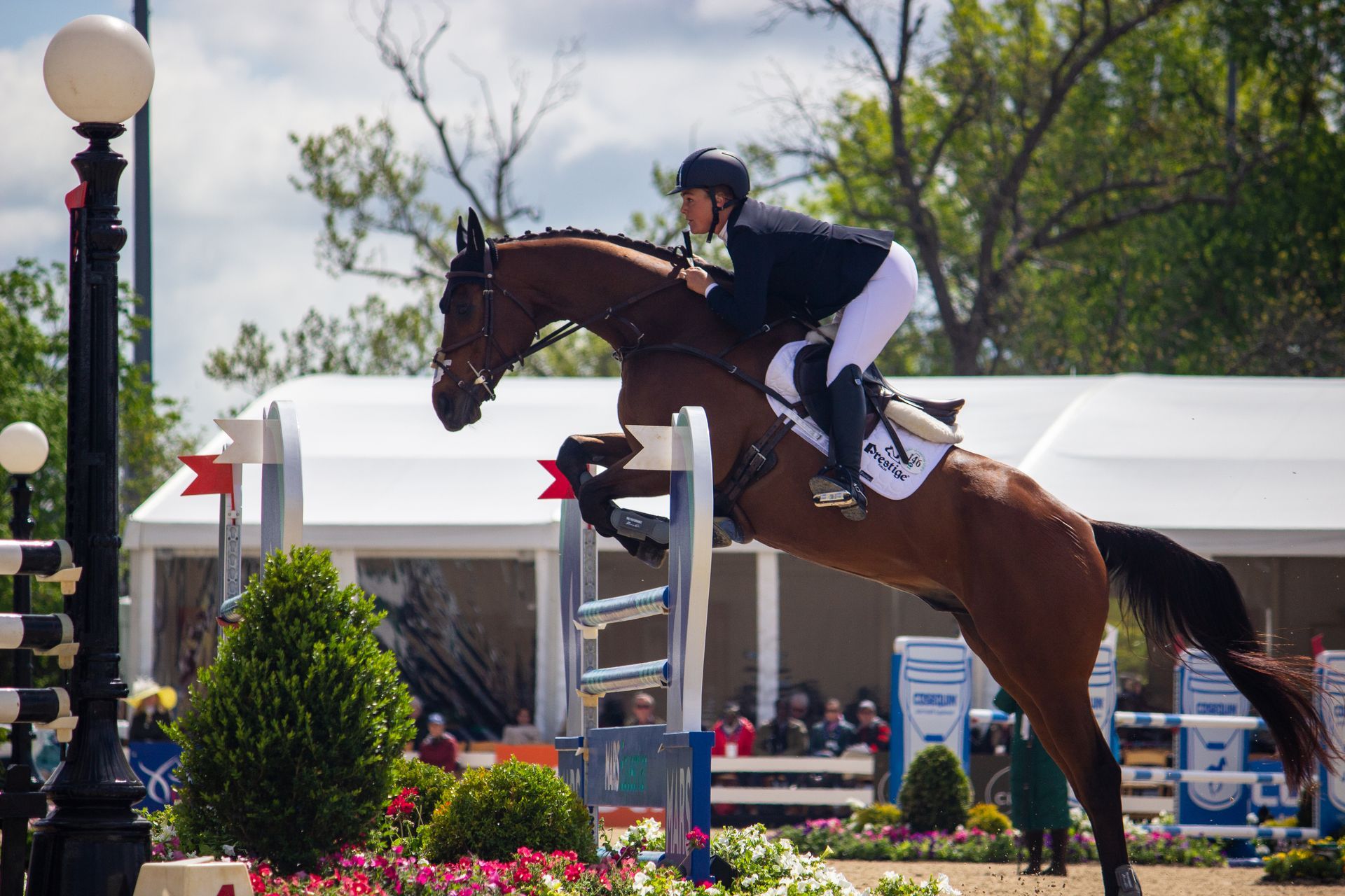 A man is riding a brown horse over a hurdle.