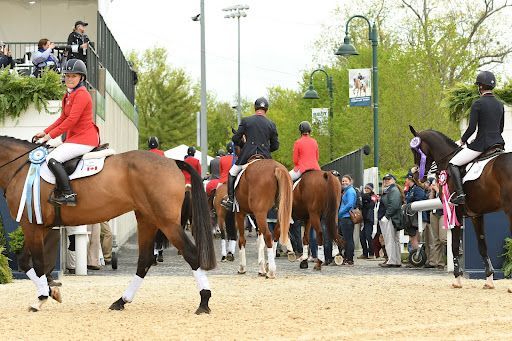 A group of people are riding horses in a field.