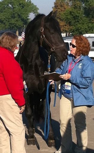 Two women are standing next to a black horse and one is holding a clipboard.