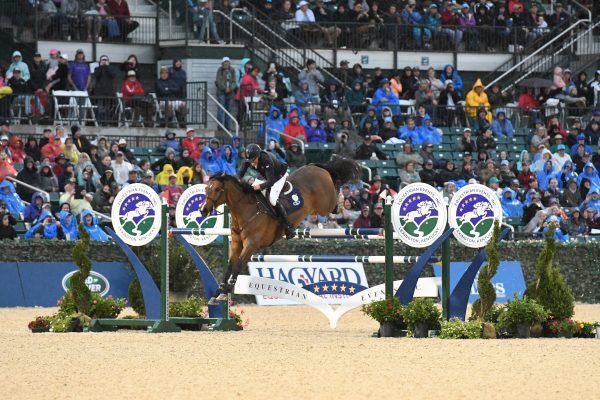A horse is jumping over a hurdle in front of a crowd.