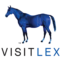 A blue horse is standing next to the word visitlex.