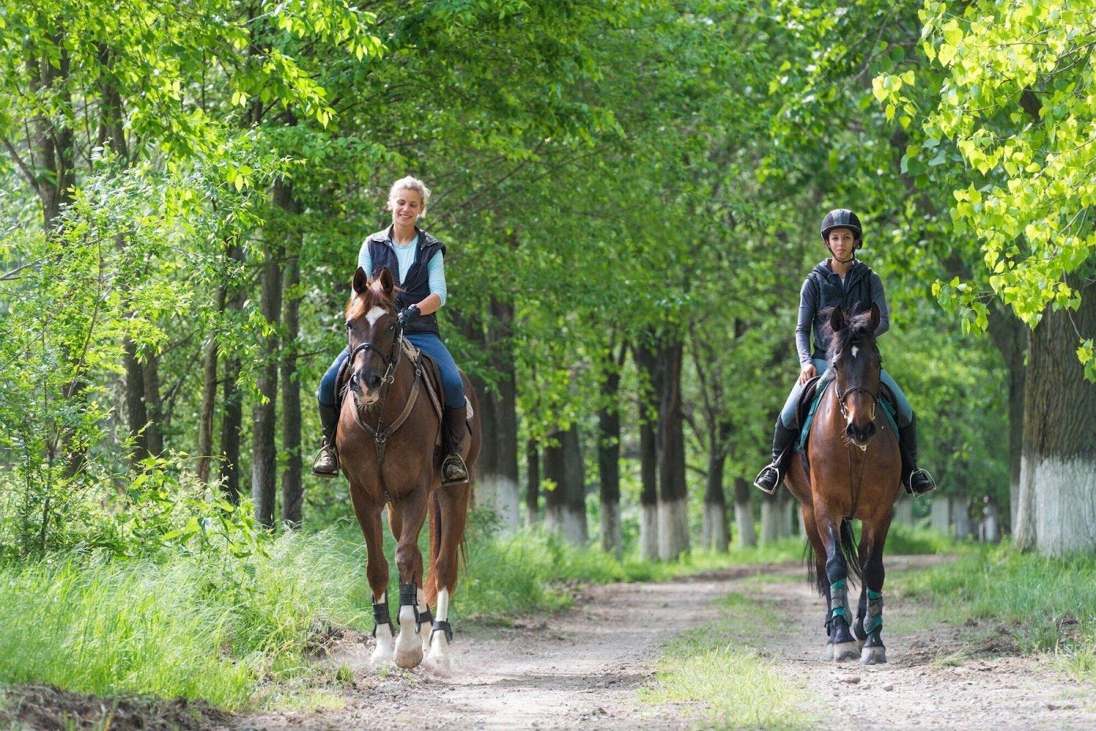 Two people are riding horses down a dirt road in the woods.