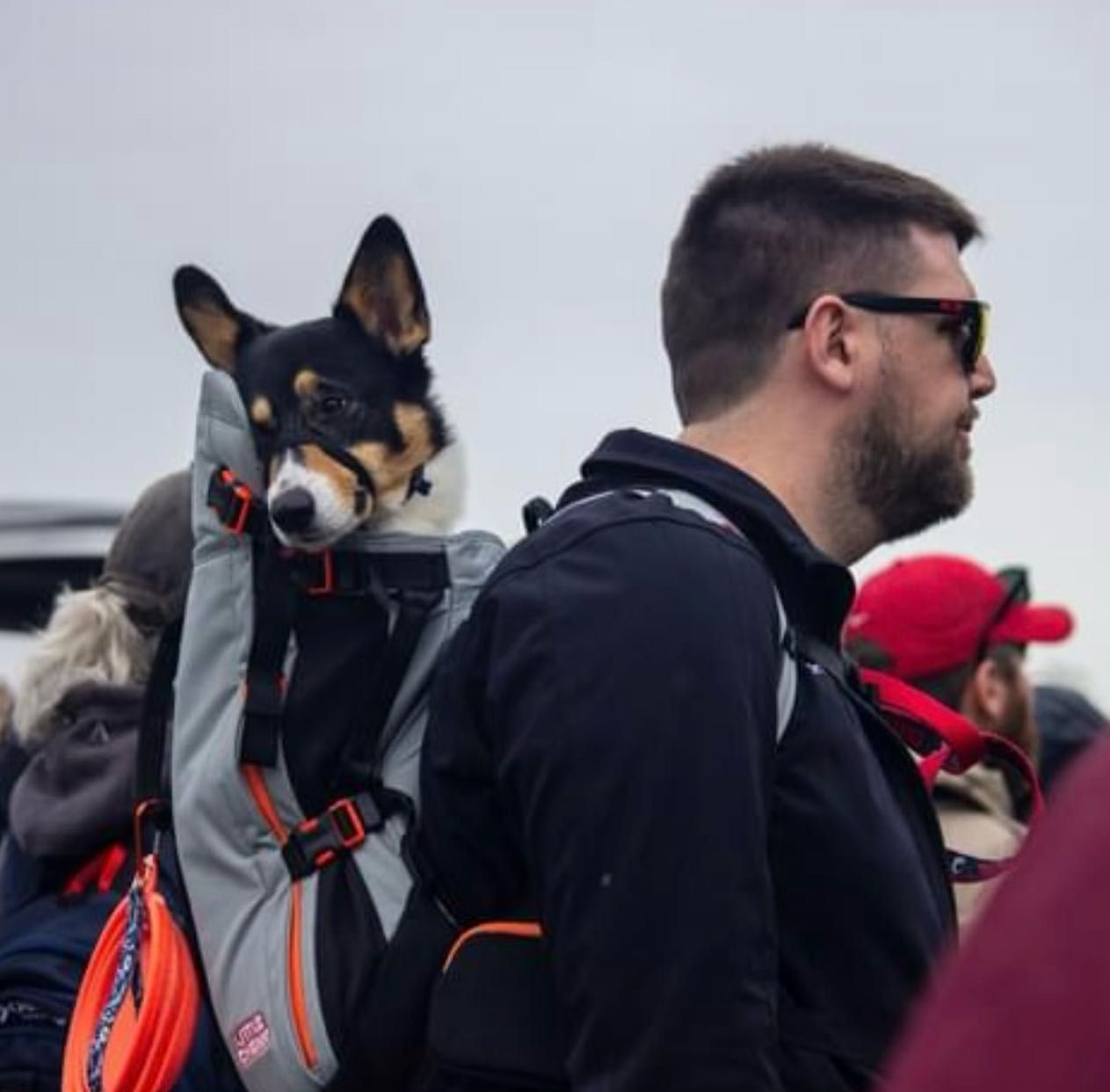 A man is carrying a small dog in a backpack