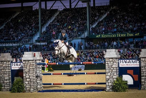 A person is riding a horse over a hurdle in front of a crowd.