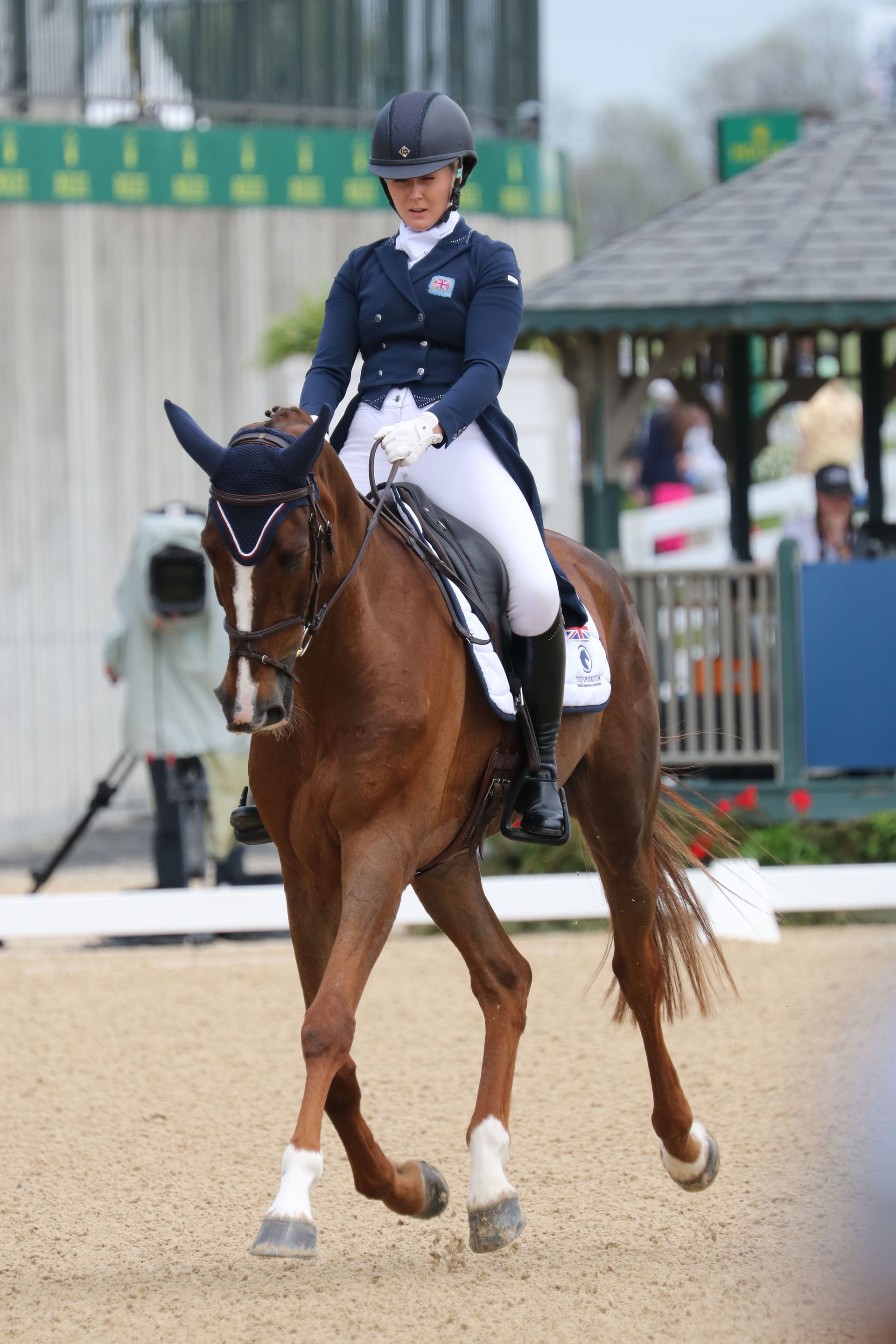 A woman is riding on the back of a brown horse.