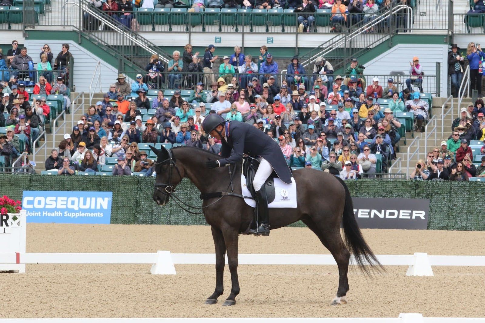 A man is riding a horse in front of a crowd with a cosequin sign in the background