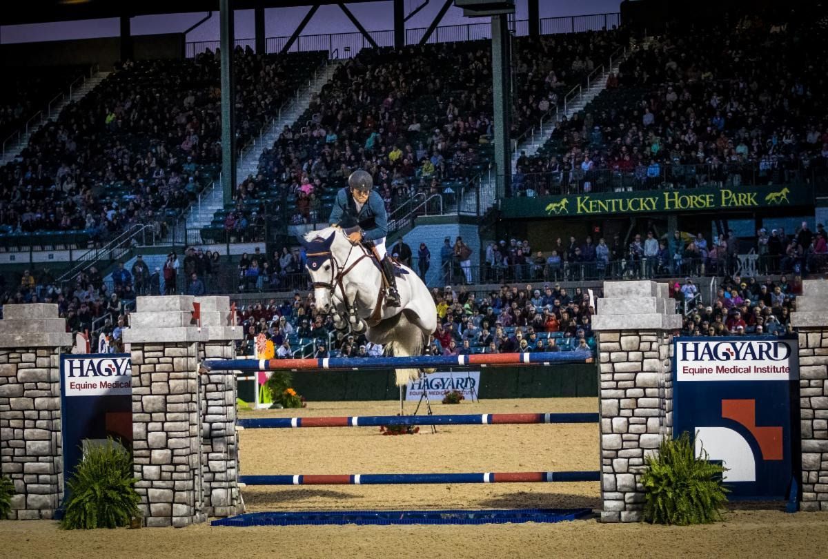 A person is riding a horse over a hurdle in front of a crowd.