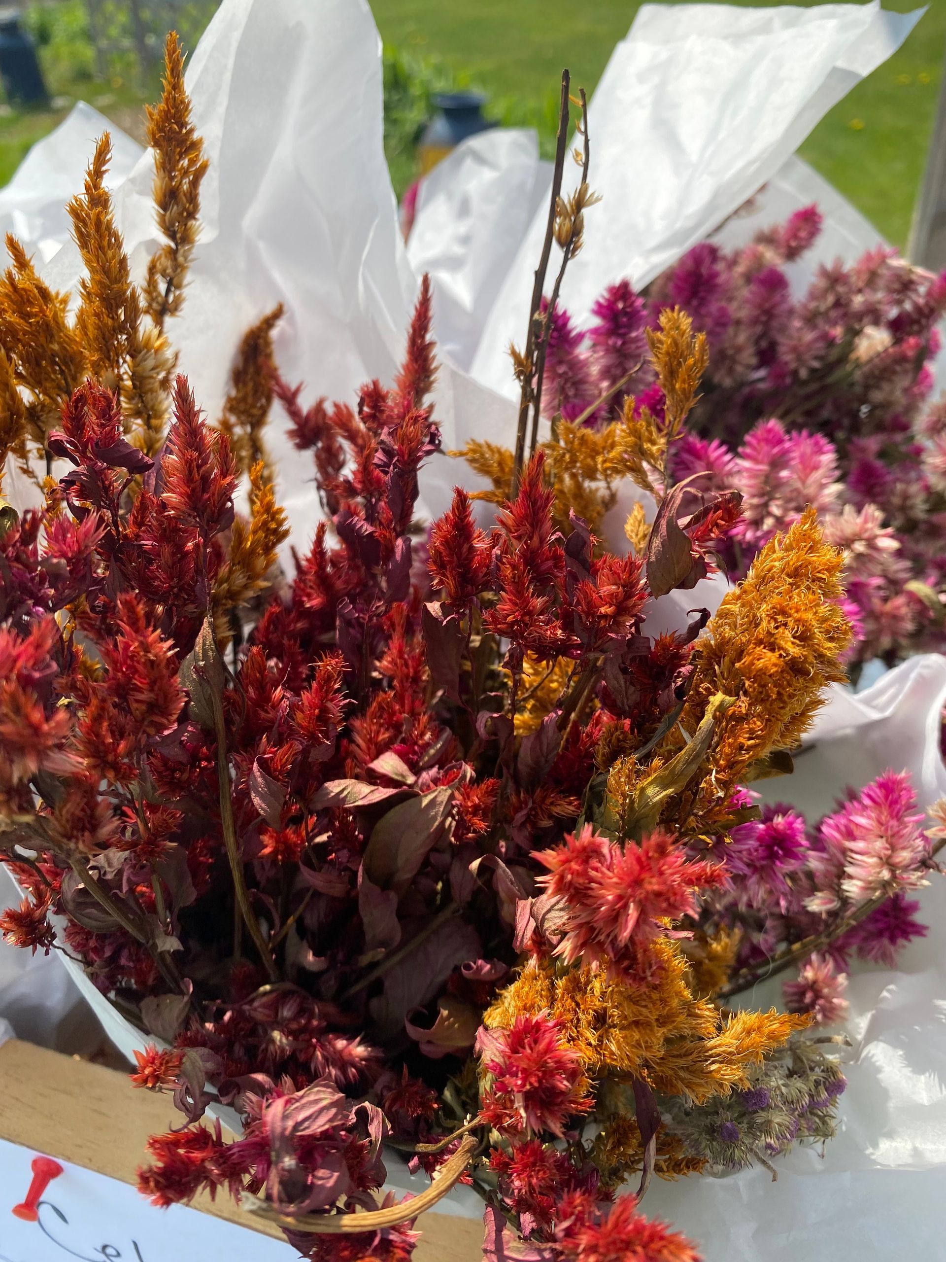 Closeup of bouquets of colorful flowers