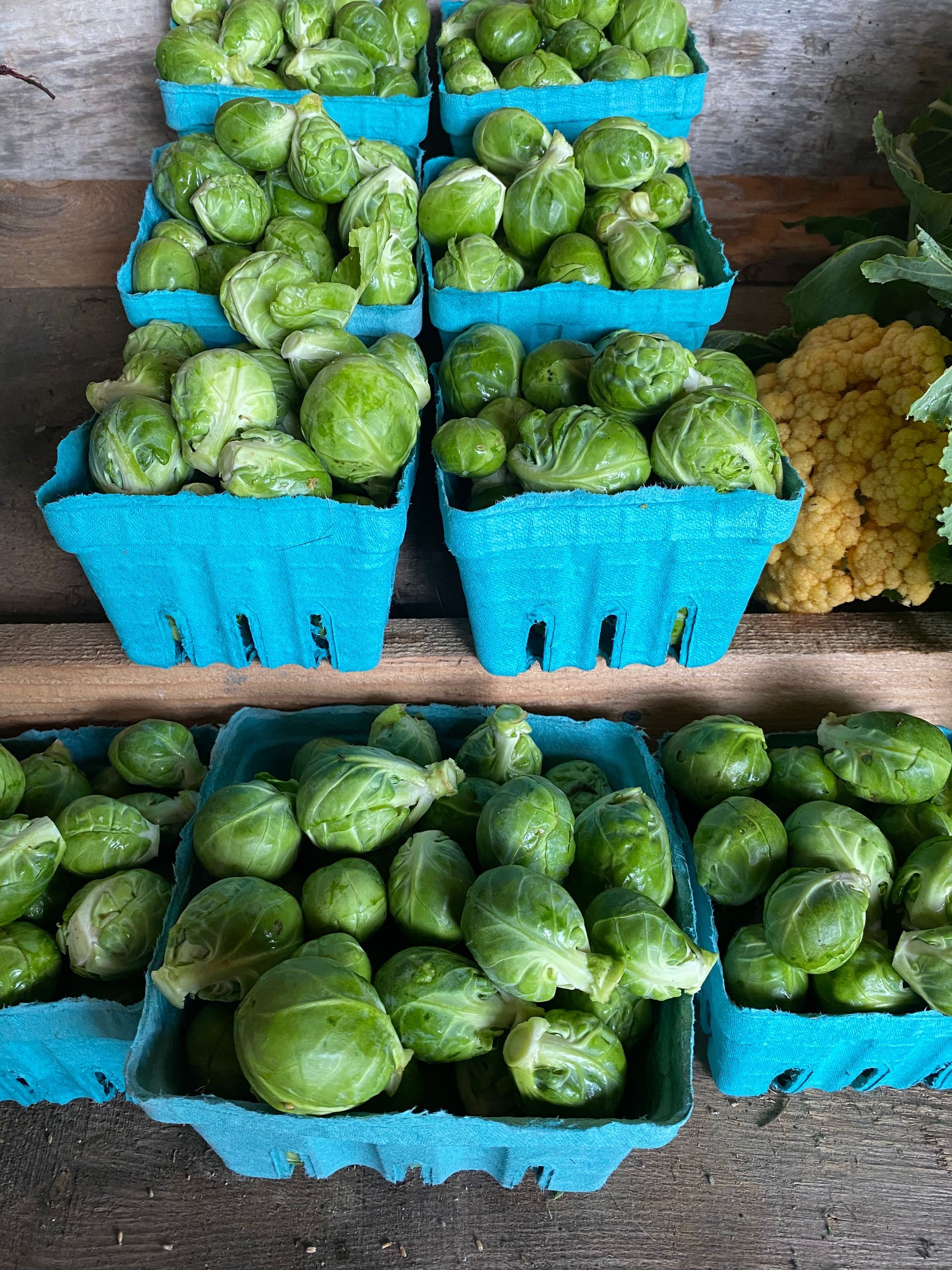 A bunch of brussel sprouts in turquoise cartons