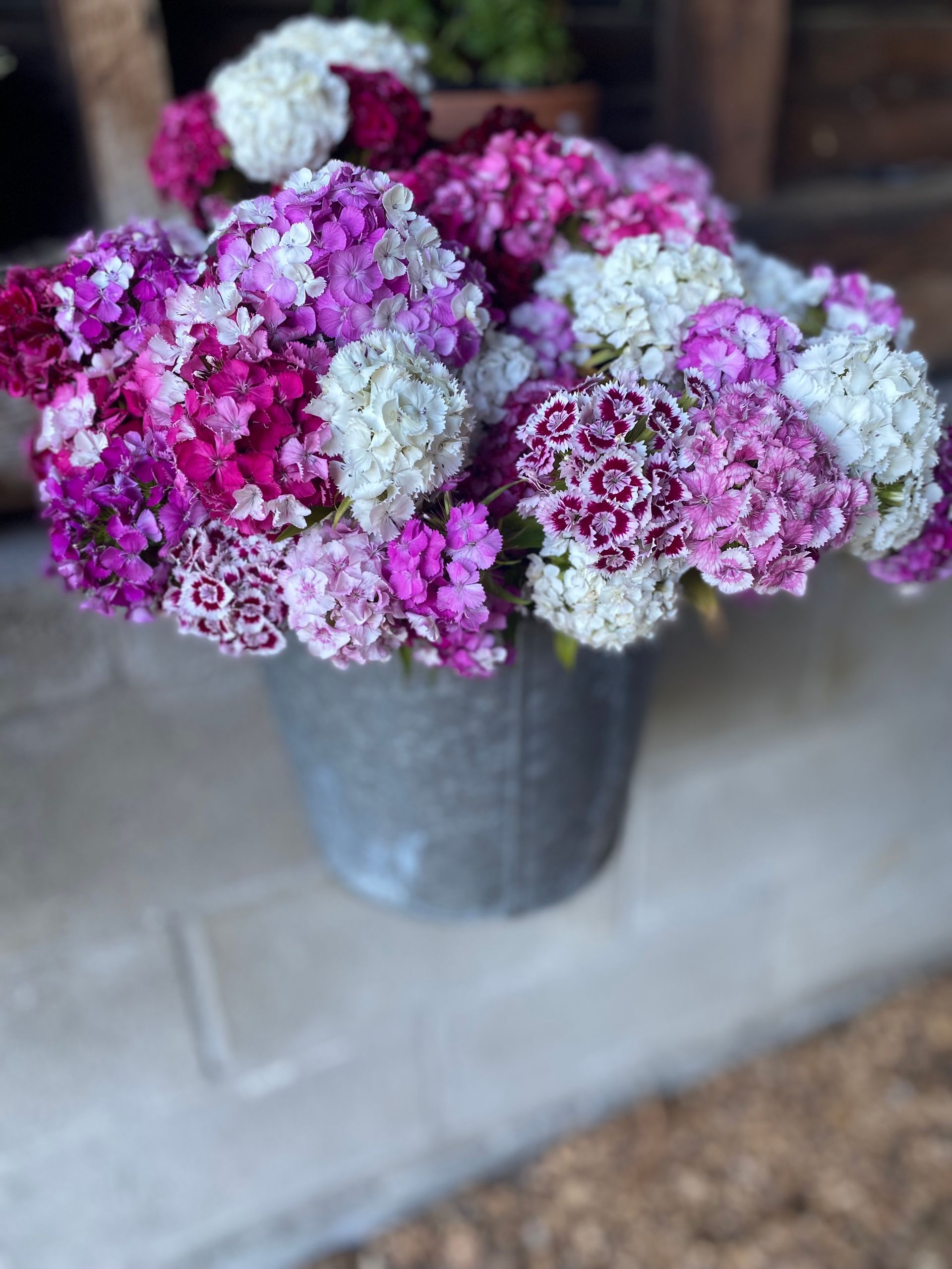 Bouquets of pink, purple and white flowers in a tin vase
