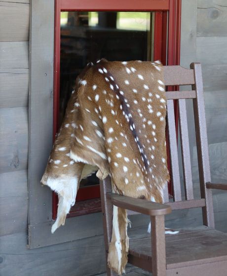 Taxidermy Hides