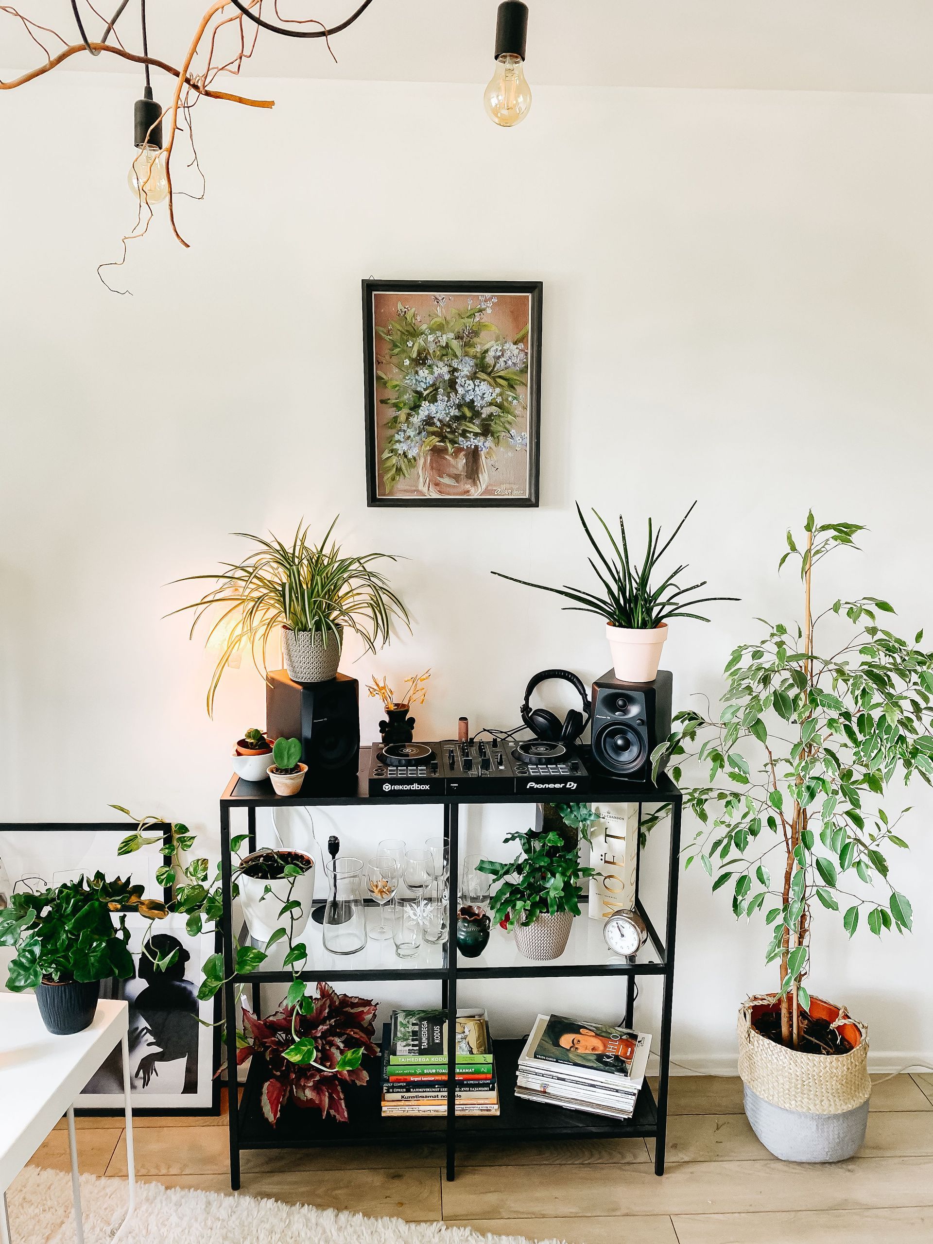 Indoor room with black shelf of potted plants, framed wall art, and hanging bulb on a white wall by Audio Video Concept