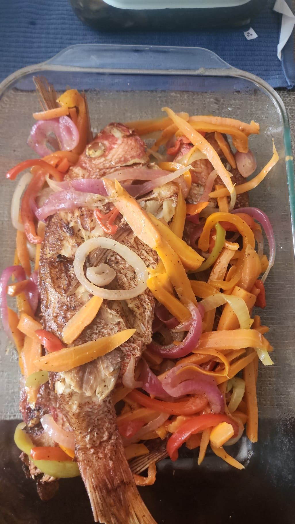 Red Snapper Fish