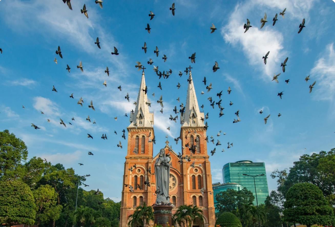 A large church with a statue in front of it and a flock of birds flying around it.
