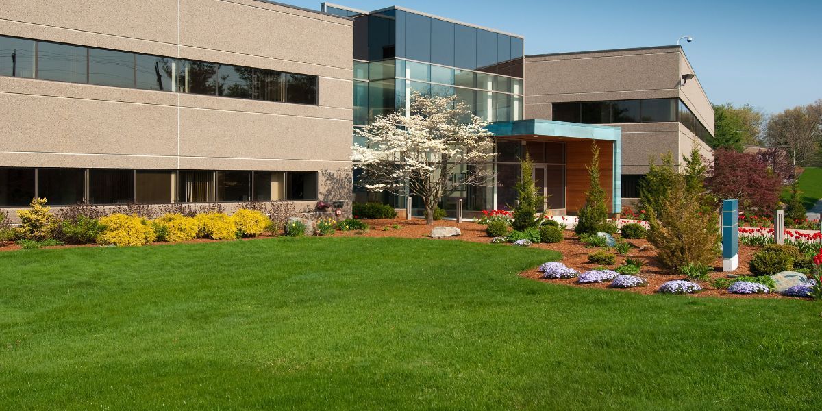 Commercial landscape featuring lush green lawn, flowering plants, and modern office building.