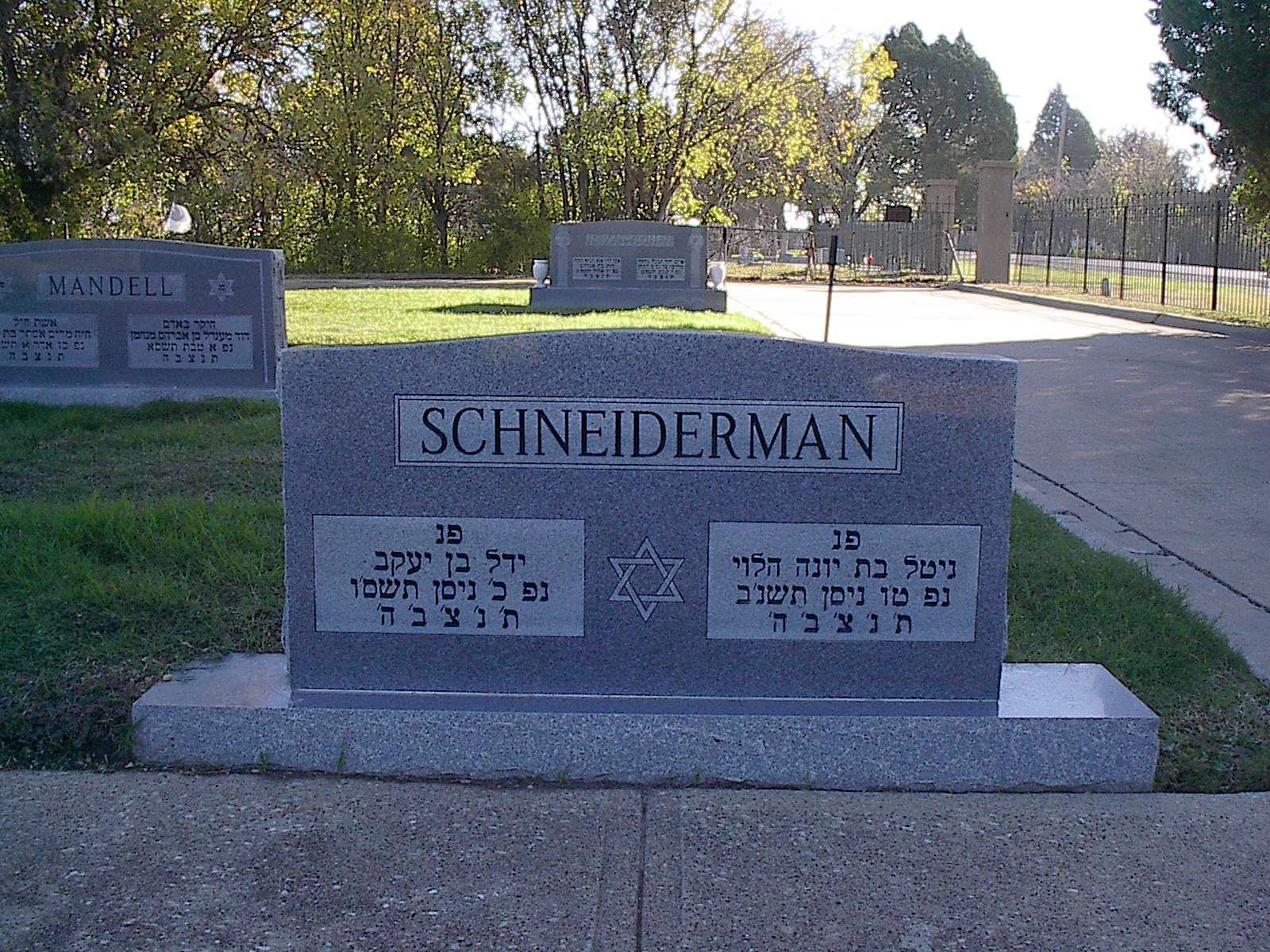 Gray granite tombstone with Hebrew inscriptions and Star of David; cemetery background.