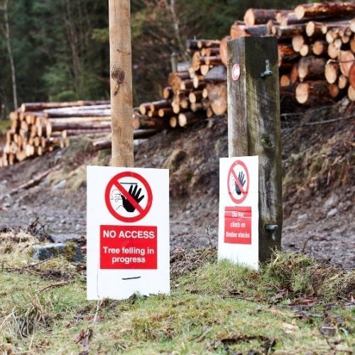 This is a picture of a recent woodland clearance by Tree Surgeons Mansfield