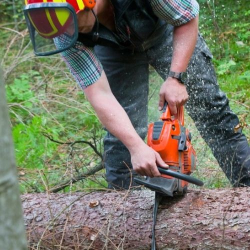Stump Grinding Leicester