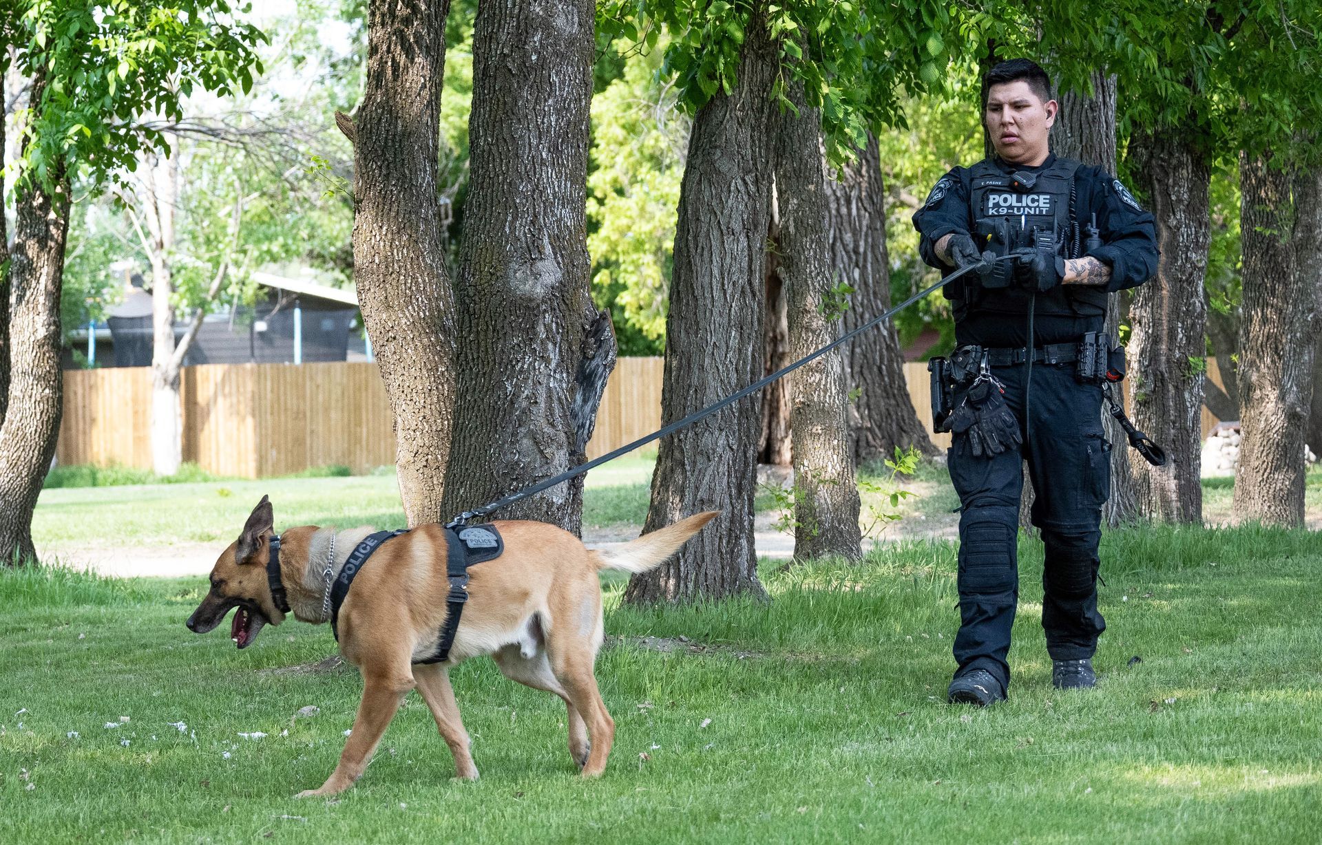 Constable Travis Pashe and Zion Searching Image