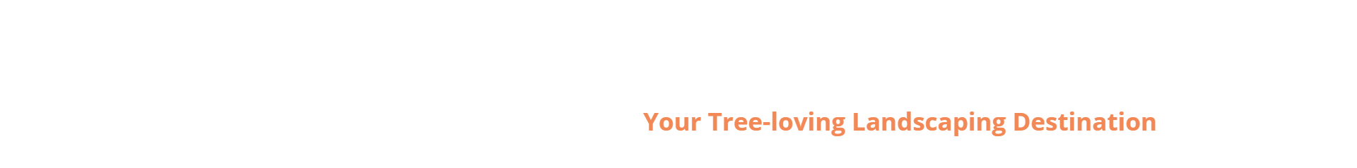 svg shape