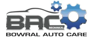 Mechanic in the Southern Highlands Mechanic in the Southern Highlands