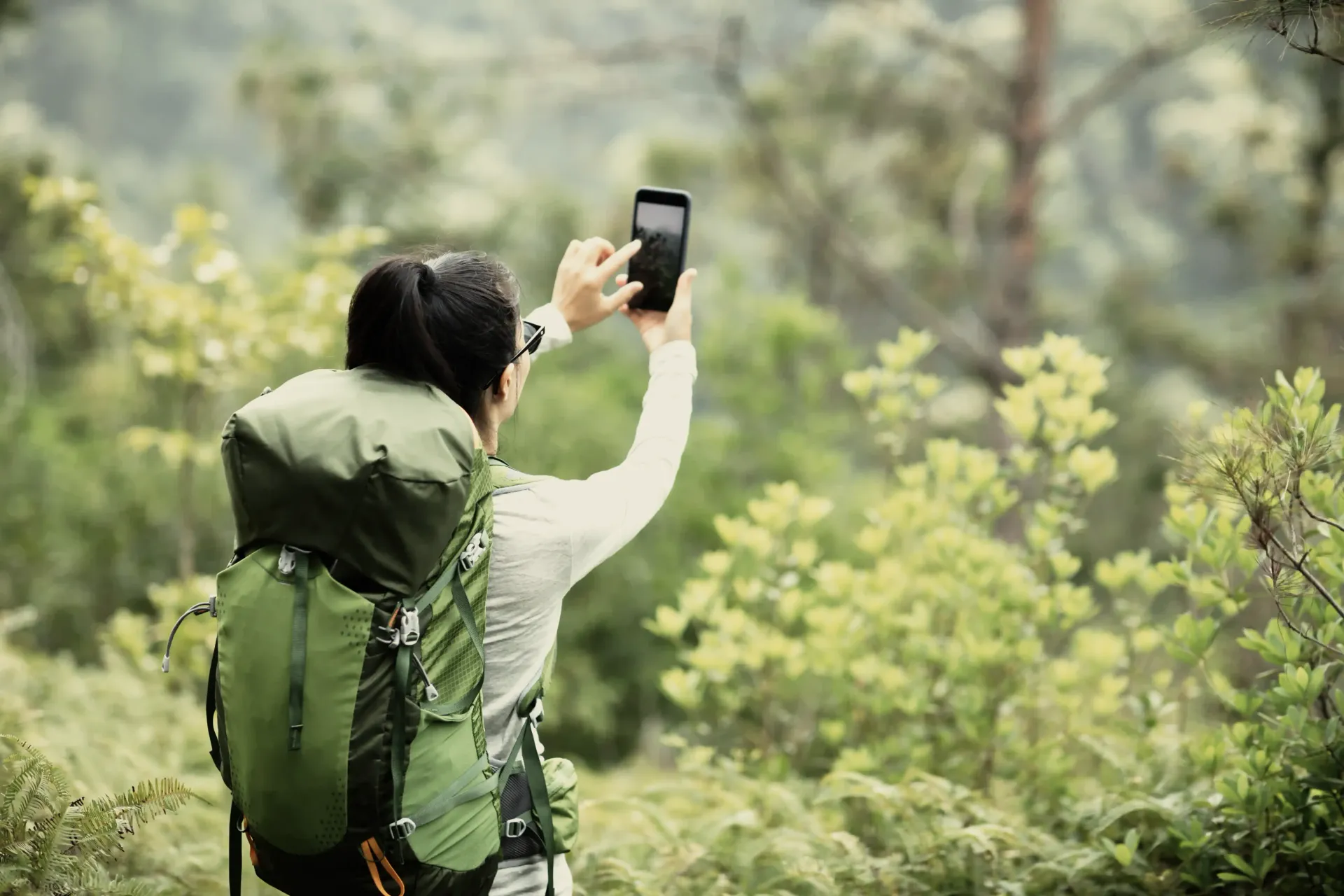 A person with a backpack is taking a picture of a forest with a cell phone.