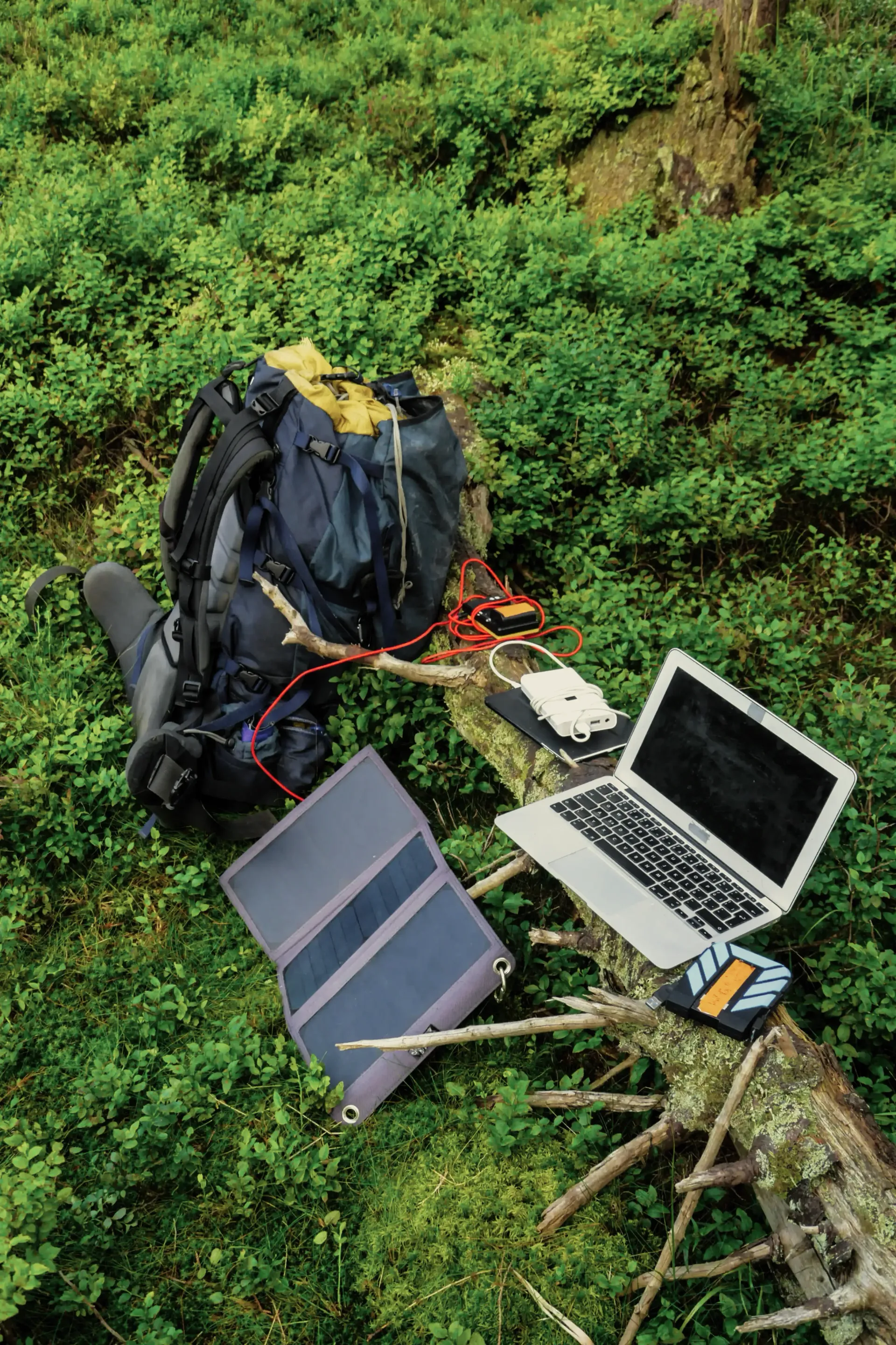 A laptop and a solar panel are sitting on a tree branch in the woods.