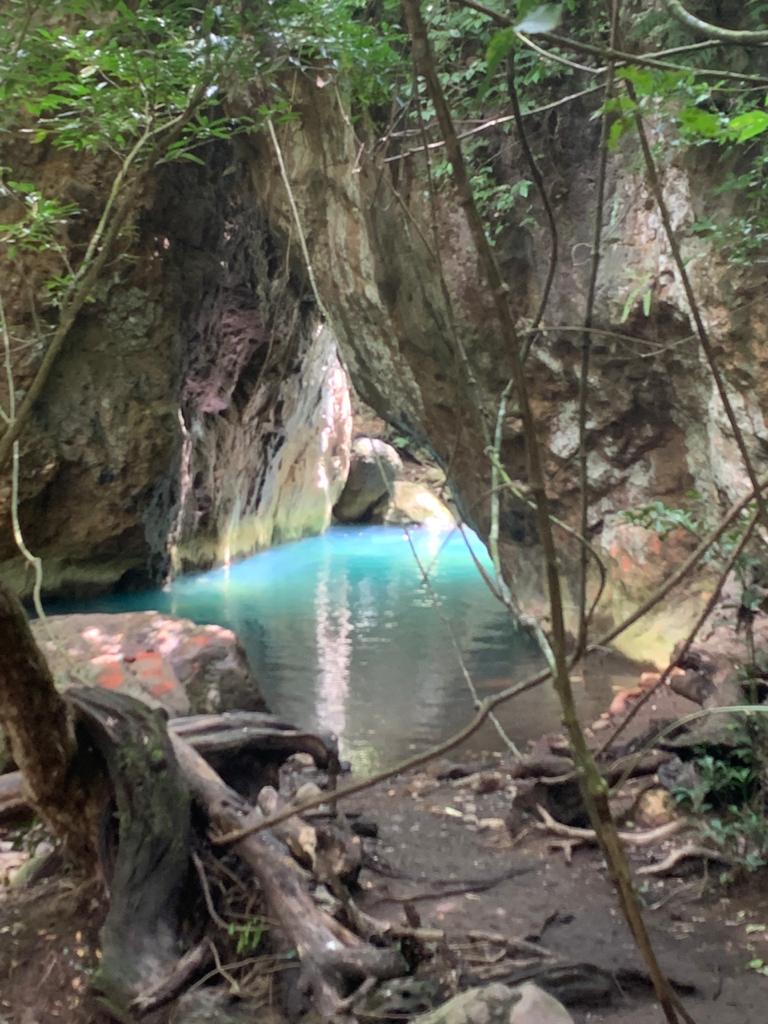 A waterfall is surrounded by trees and rocks in the woods