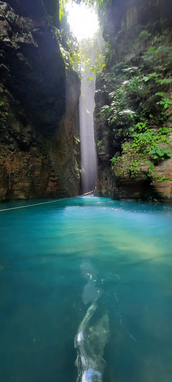 A waterfall is surrounded by trees and a body of water.