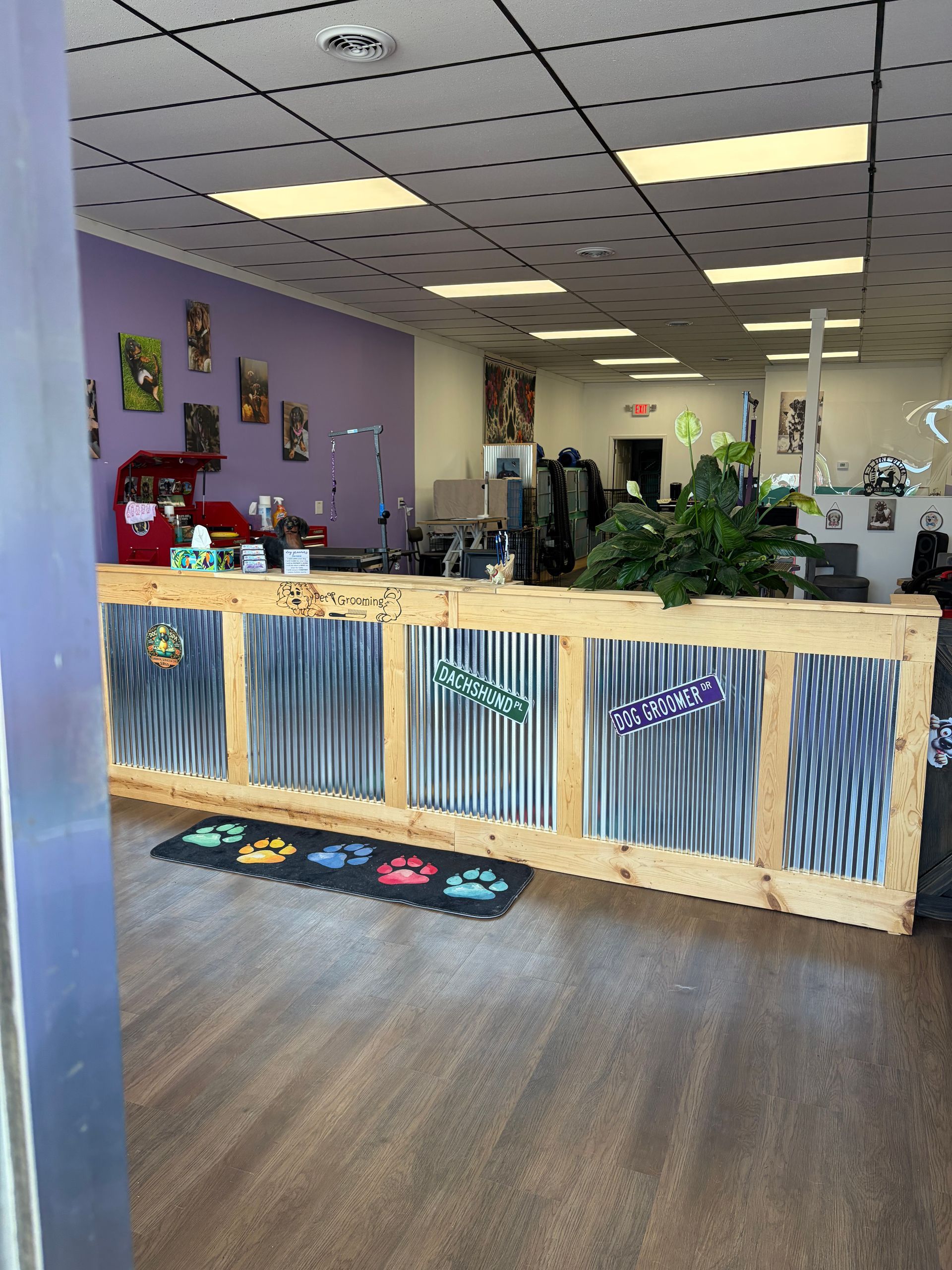 Reception area with lavender walls, wood counter, plants, and colorful paw-print floor mats.