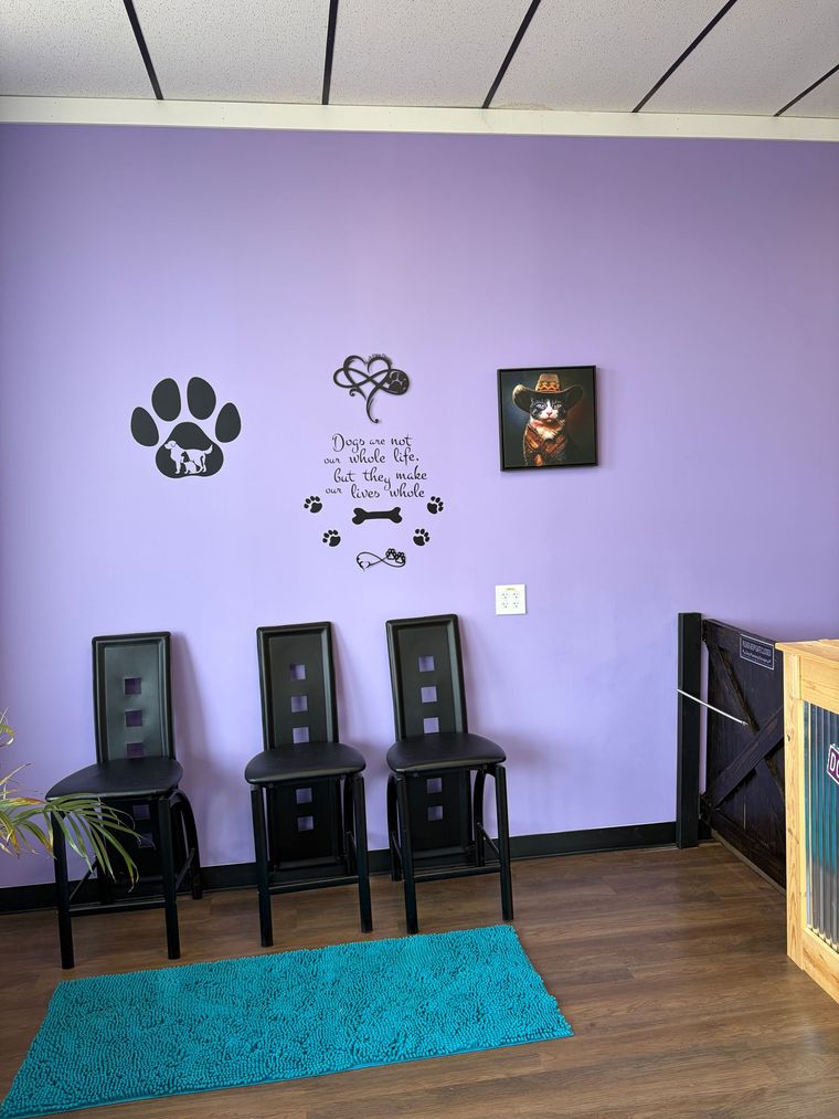 Purple-walled room with three black chairs, teal rug, wall art, and a small counter on the right.