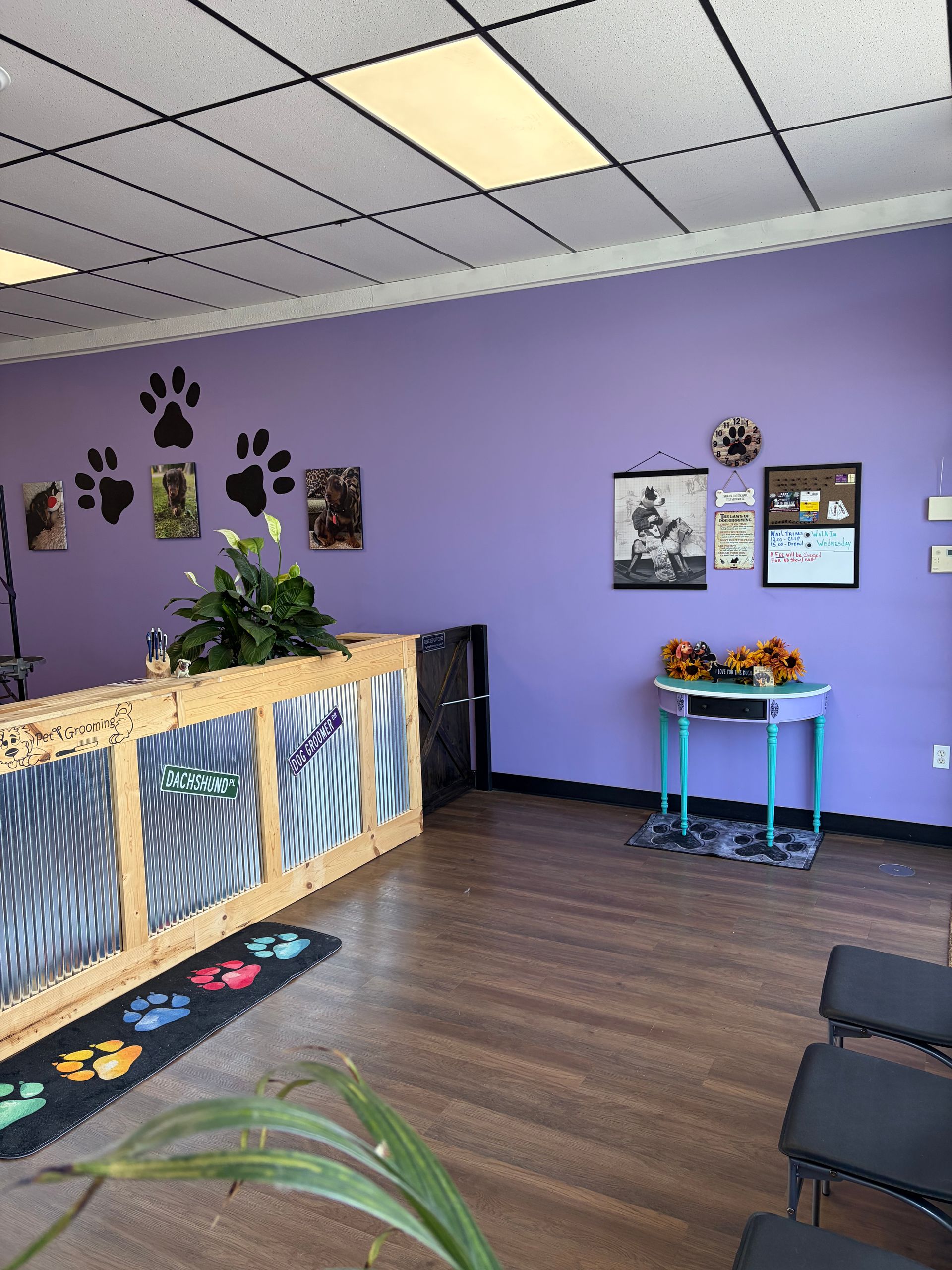 Empty pet clinic lobby with lavender walls, paw prints, reception desk, and black waiting chairs.