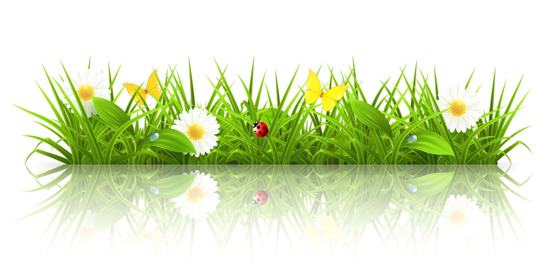 There is a ladybug in the grass with flowers.