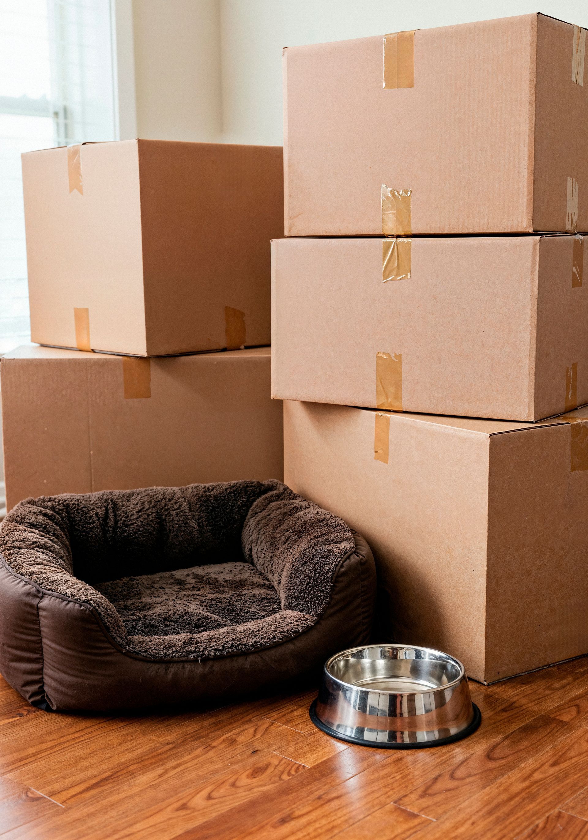 Dog bed, food bowl, and stacked cardboard boxes on wooden floor, suggesting a move.