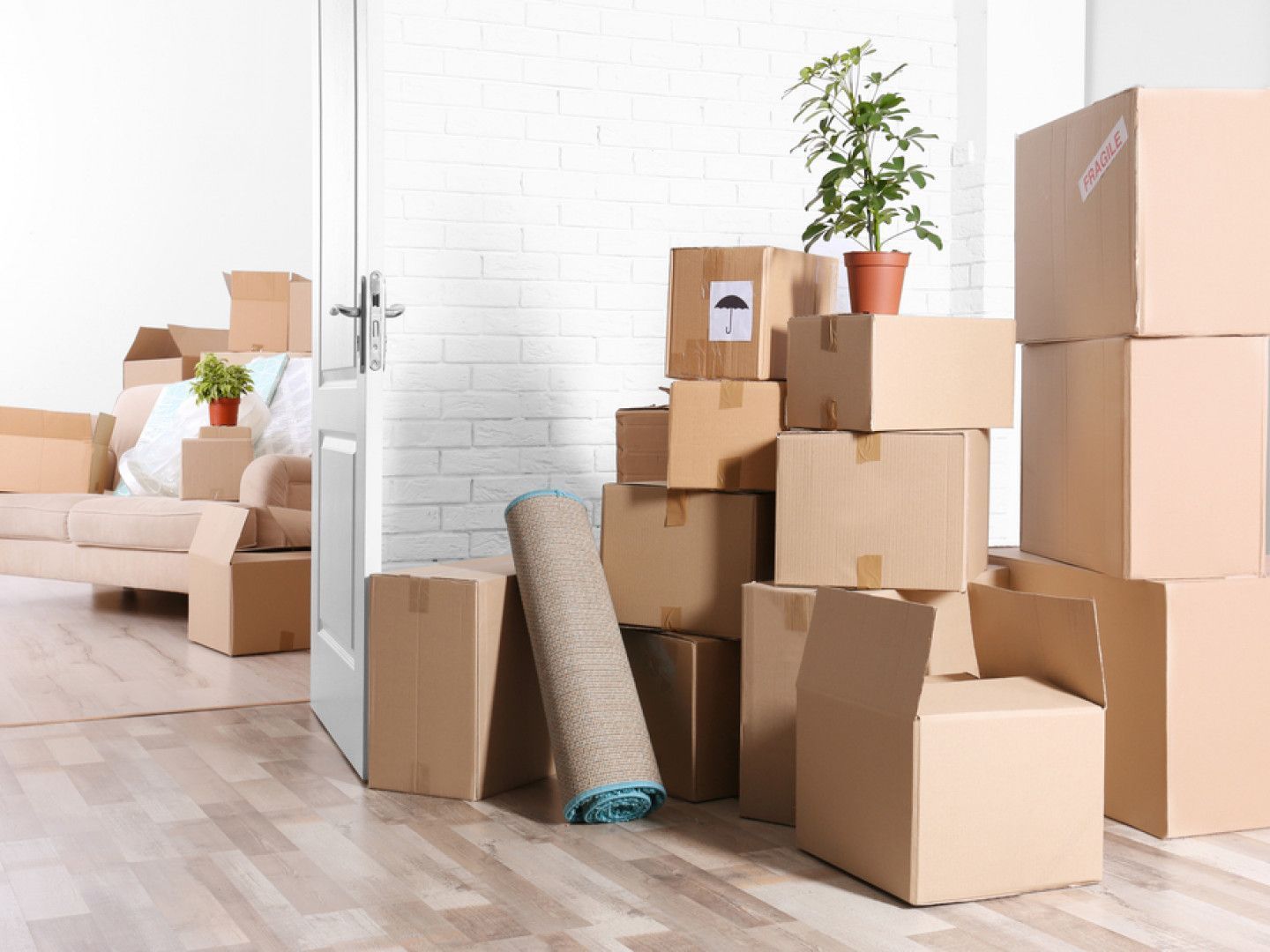 Cardboard boxes stacked in a room, indicating a move. A rolled rug and potted plants are also present.