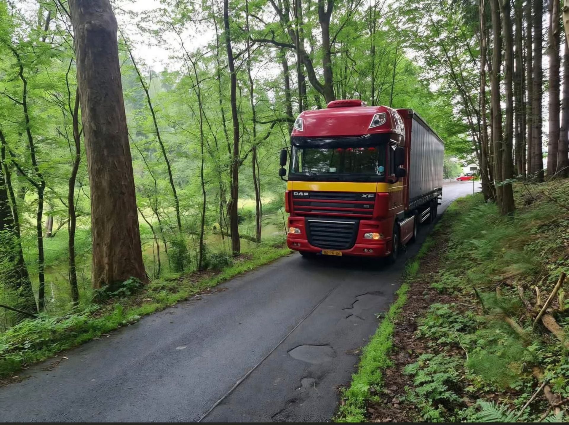 Een rode vrachtwagen op een smalle bosweg, omringd door hoge groene bomen.