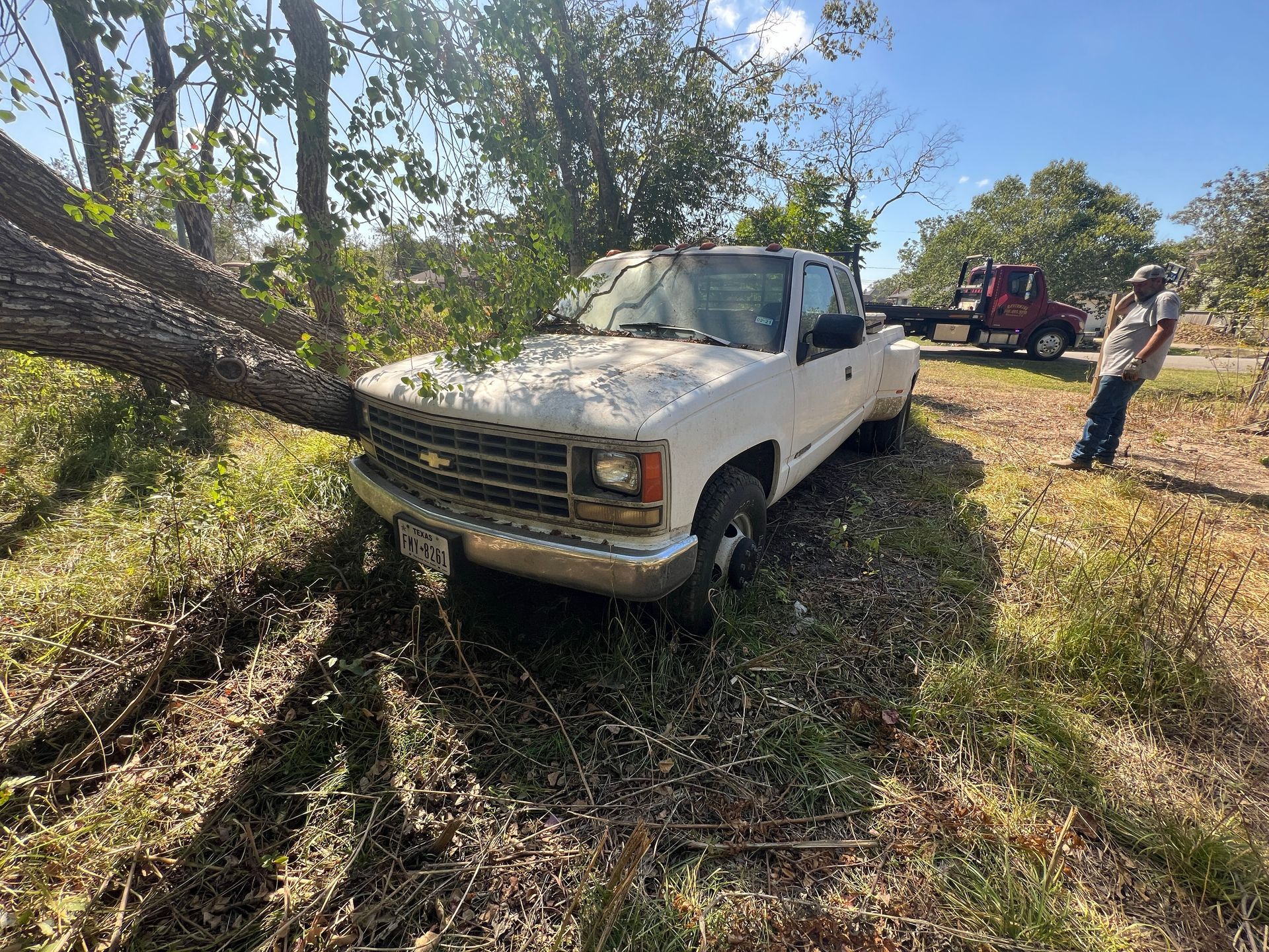 White pickup truck stuck against a fallen tree in a grassy wooded area, with people nearby.