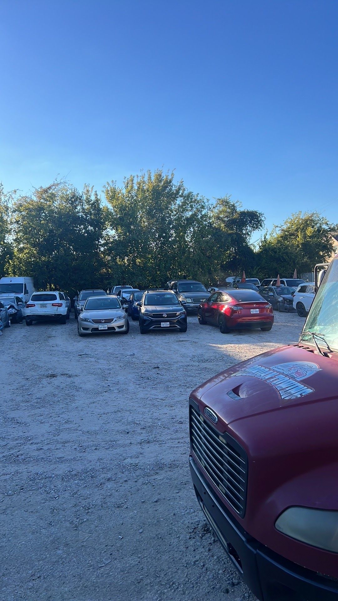 Parked cars on a gravel lot at sunset, with a red vehicle in the foreground and trees behind.