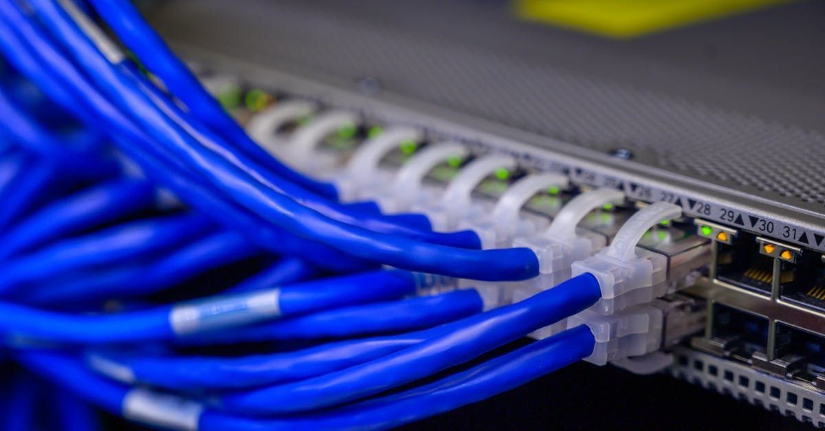 A bunch of blue wires are connected to a server.