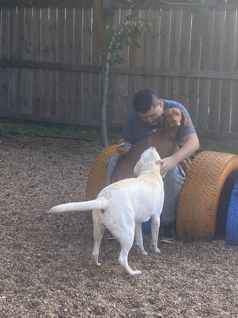 Memorial Pet Lodge exterior. Staff playing with Dog
