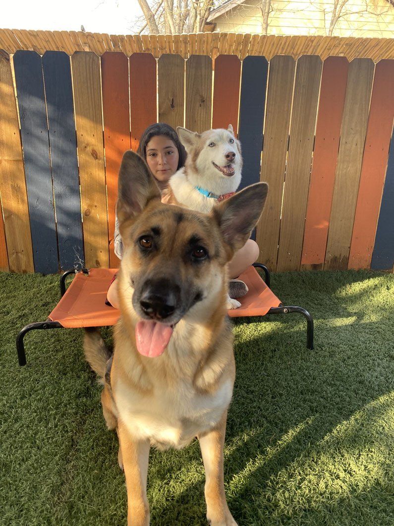 A woman is sitting on a bed with two dogs.