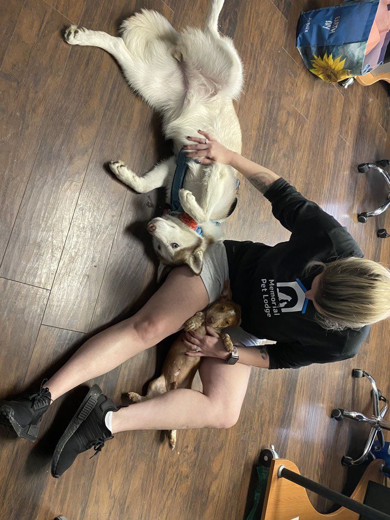 A woman is laying on the floor petting two dogs.